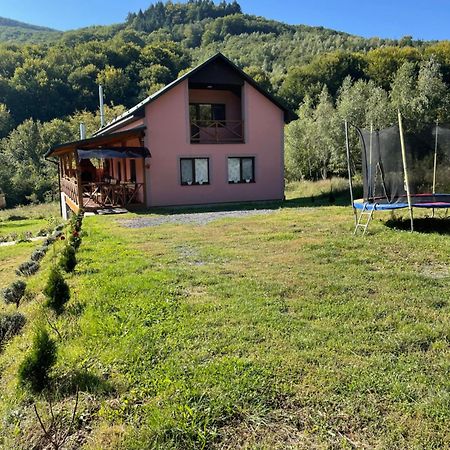 Соколів Камінь Novoselitsa  Exterior foto