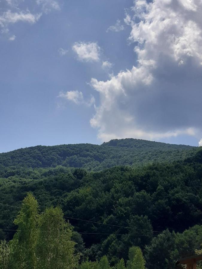 Соколів Камінь Novoselitsa  Exterior foto