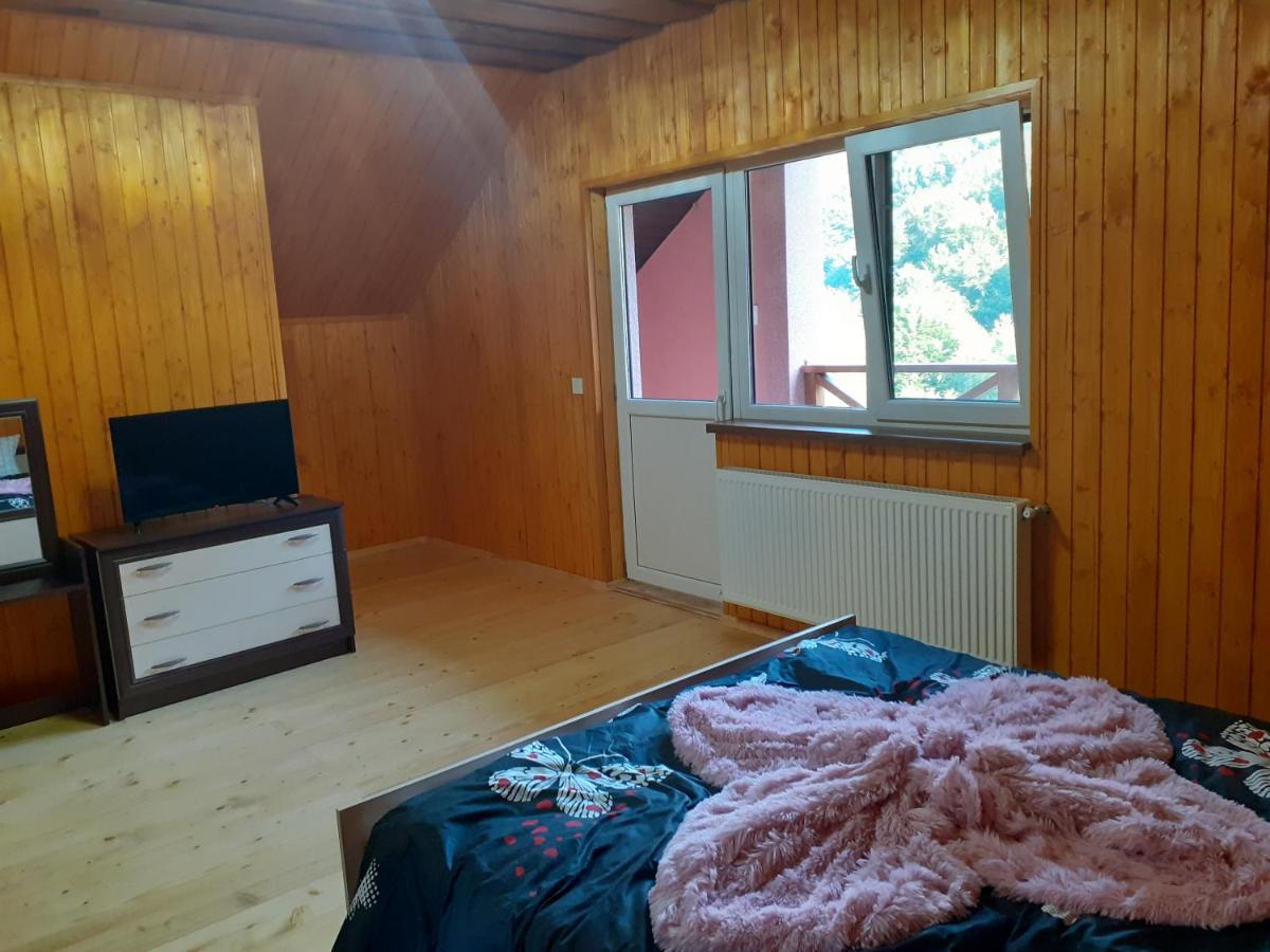Соколів Камінь Novoselitsa  Exterior foto