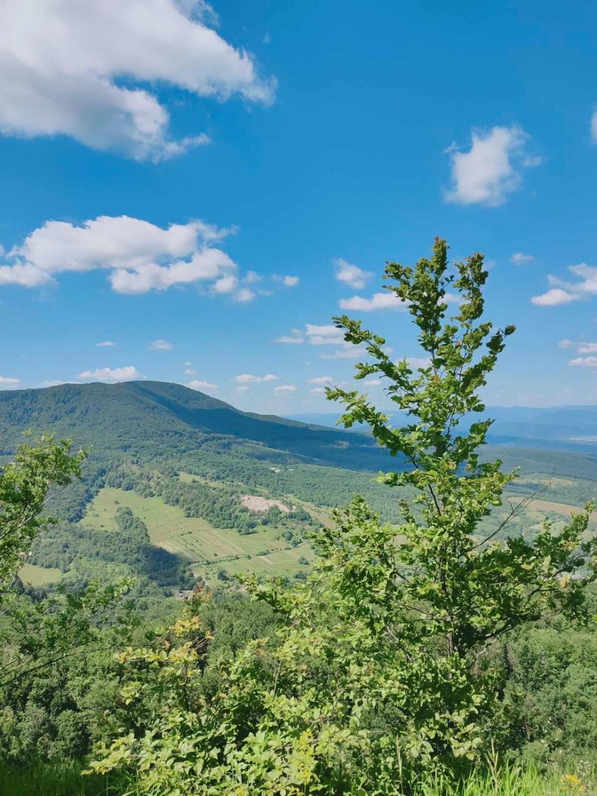 Соколів Камінь Novoselitsa  Exterior foto