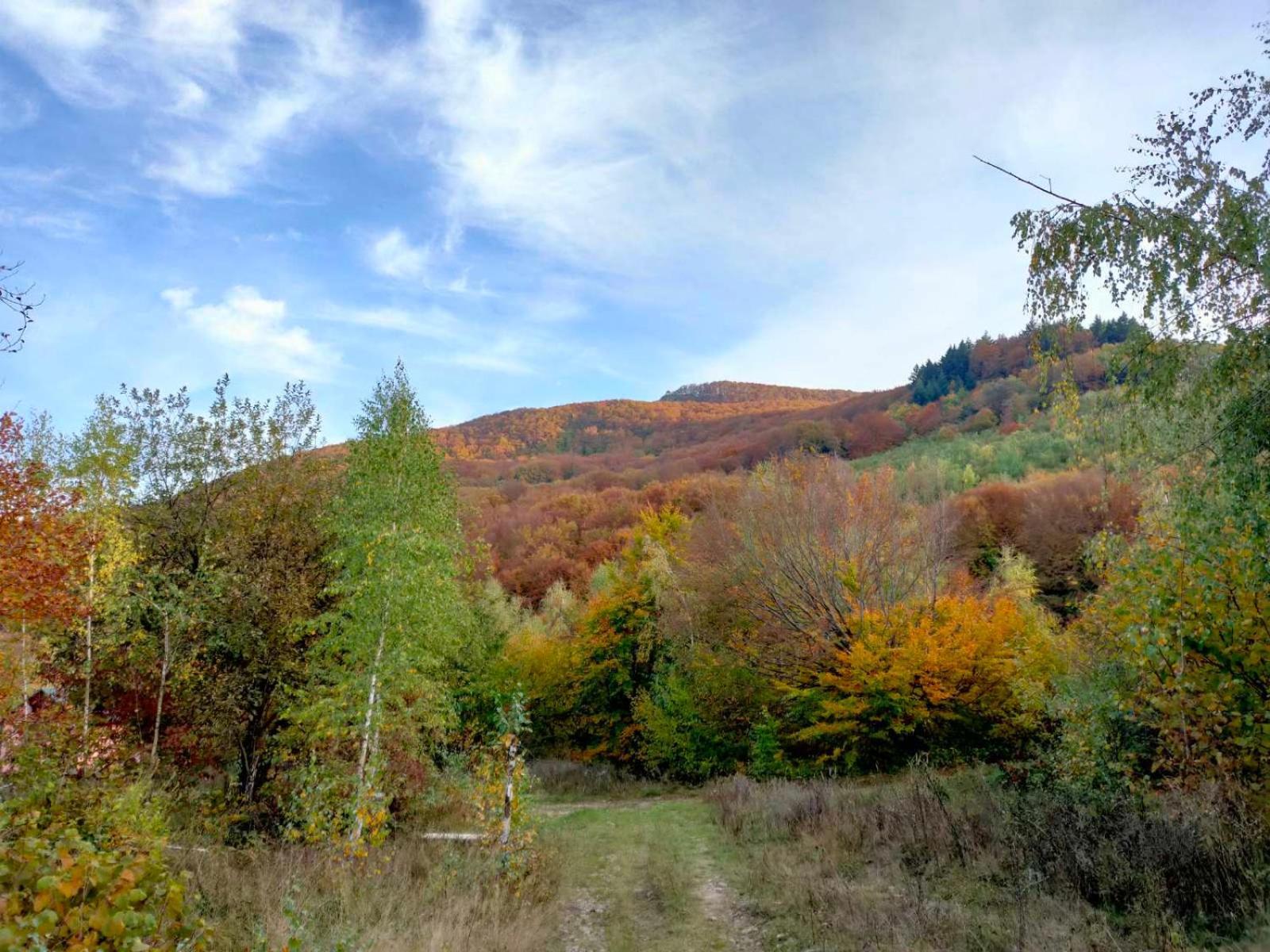 Соколів Камінь Novoselitsa  Exterior foto