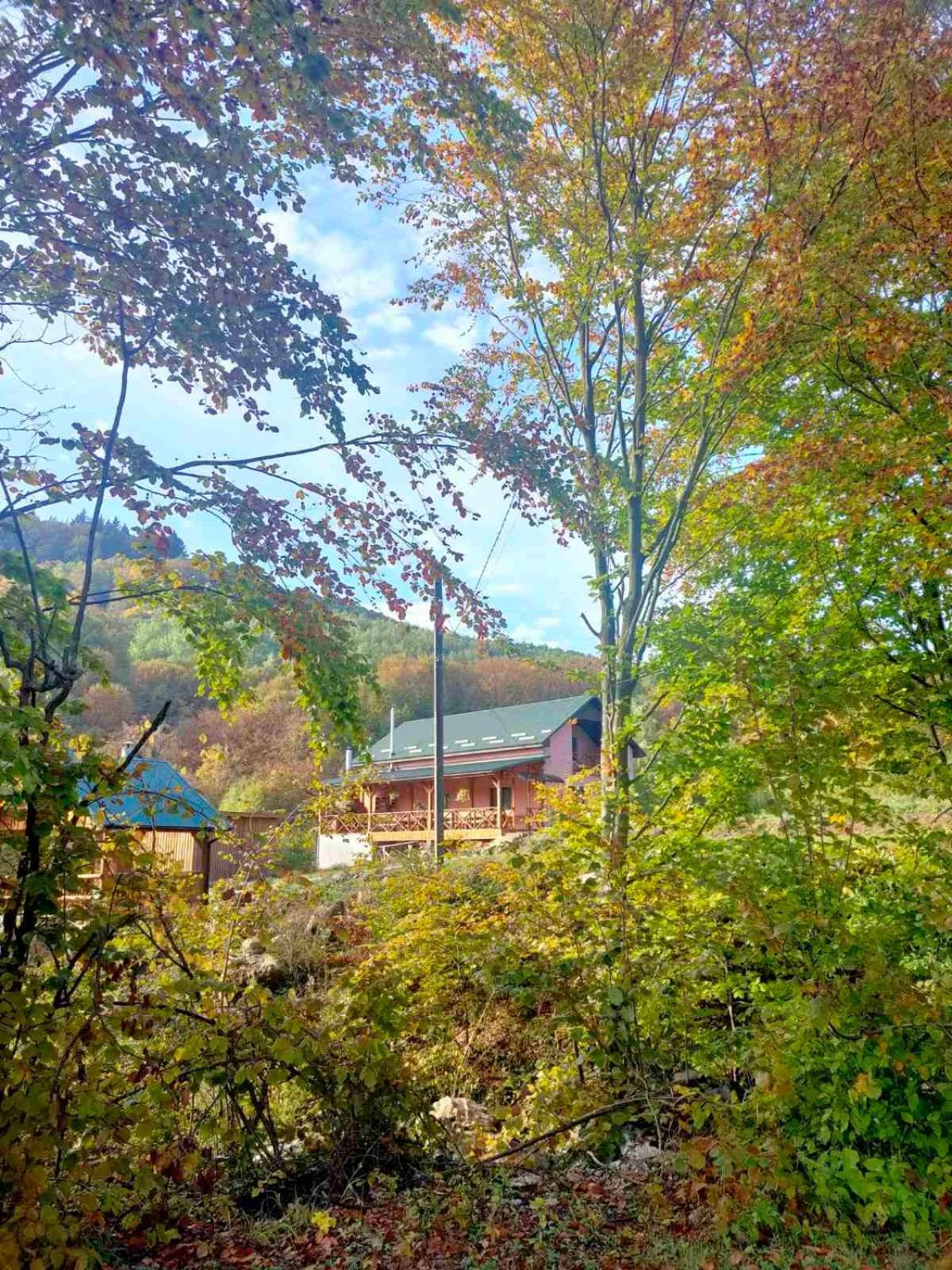 Соколів Камінь Novoselitsa  Exterior foto