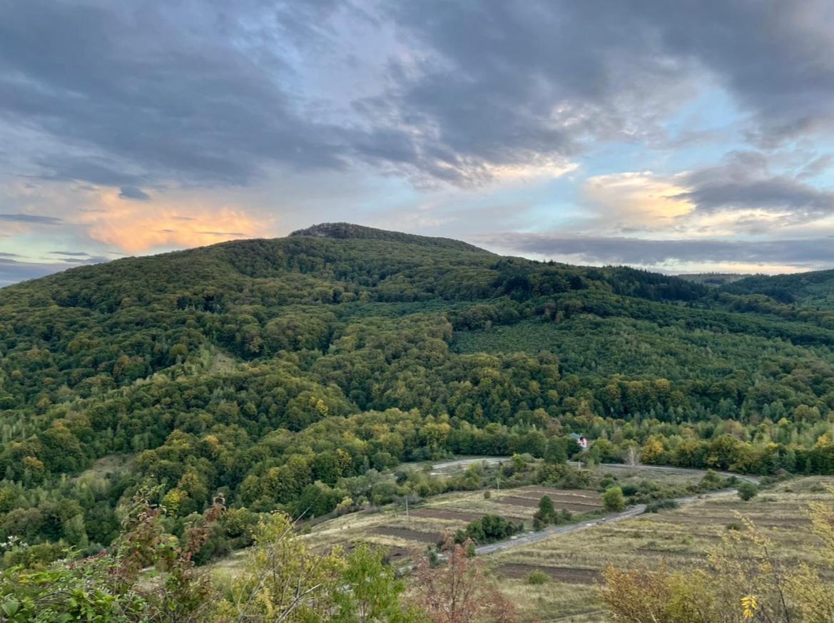 Соколів Камінь Novoselitsa  Exterior foto