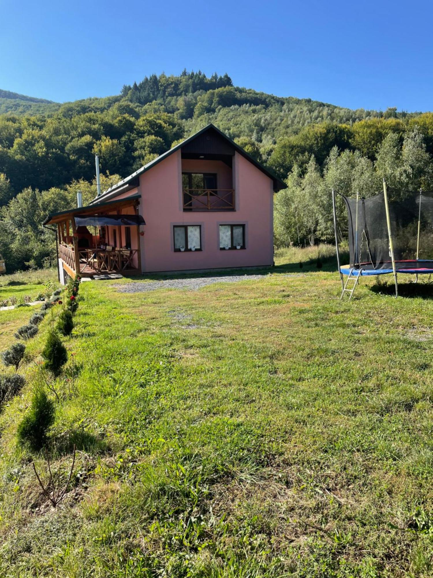 Соколів Камінь Novoselitsa  Exterior foto