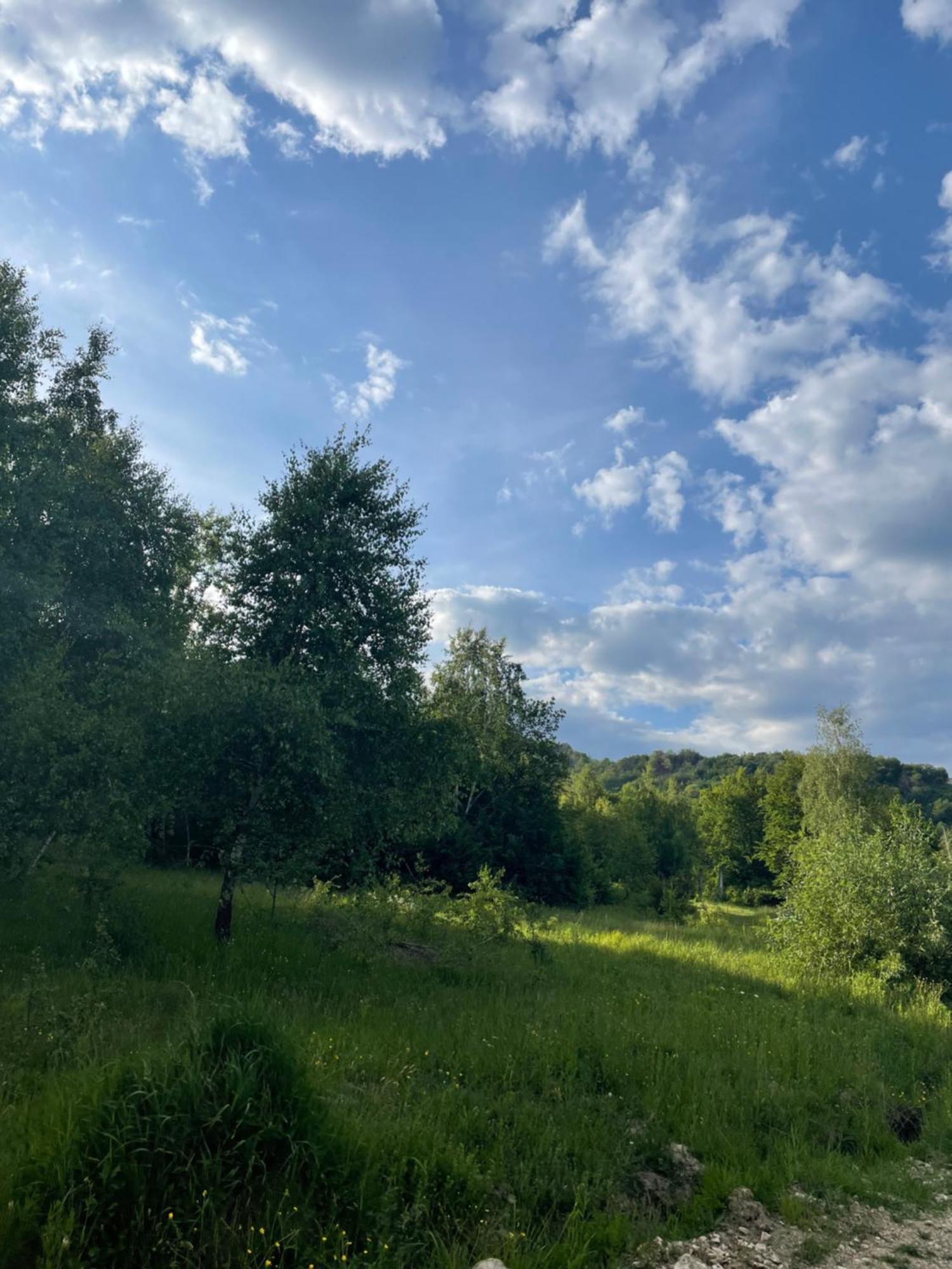 Соколів Камінь Novoselitsa  Exterior foto